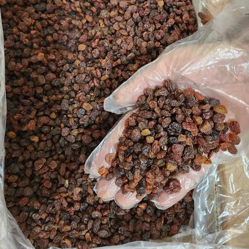 تصویر 1 از کشمش پلویی خرمایی با بافت نرم و عطر طبیعی انگور
